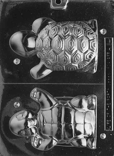 Happy turtle chocolate - 3d,
